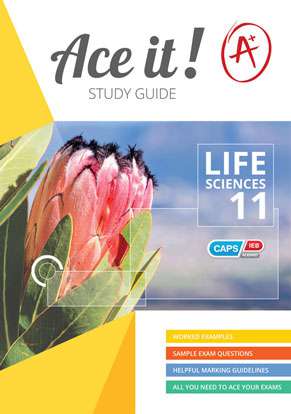 Ace it! Life Sciences Grade 11 ISBN/SKU: 9781920356293