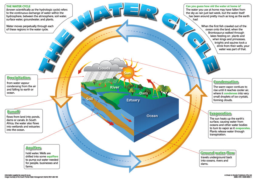 Chart: The Water Cycle (English) A2
