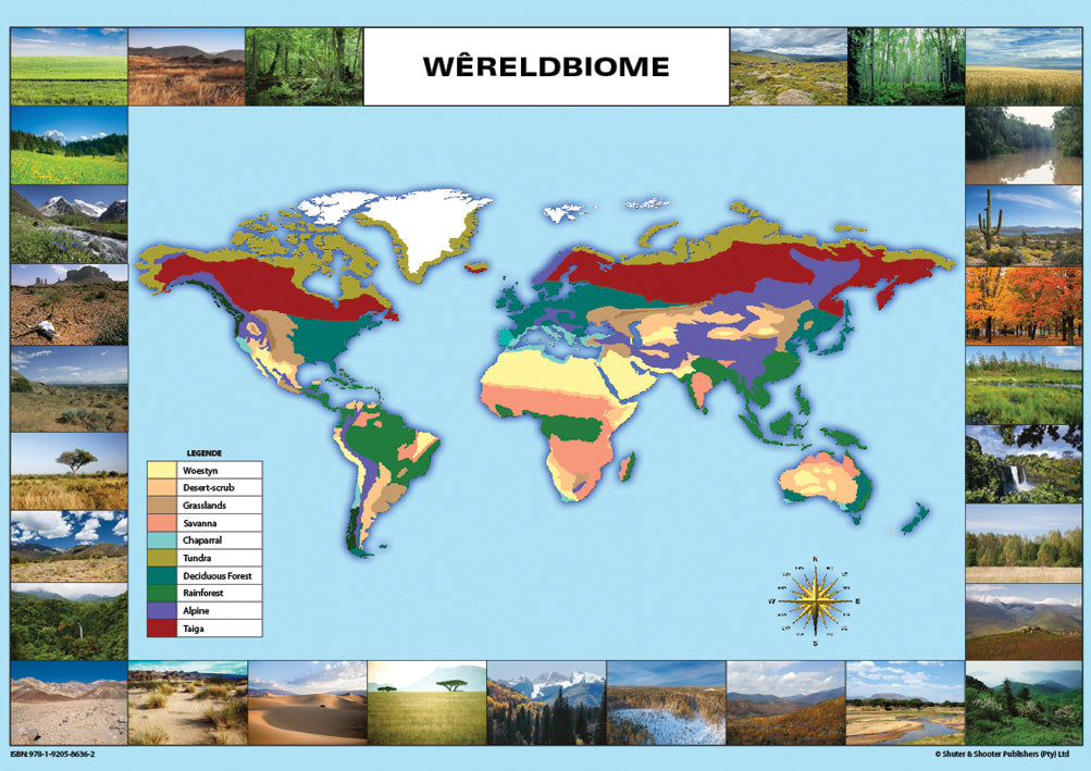 Chart: Wereldbiome Kaarte  A1 (Flat)