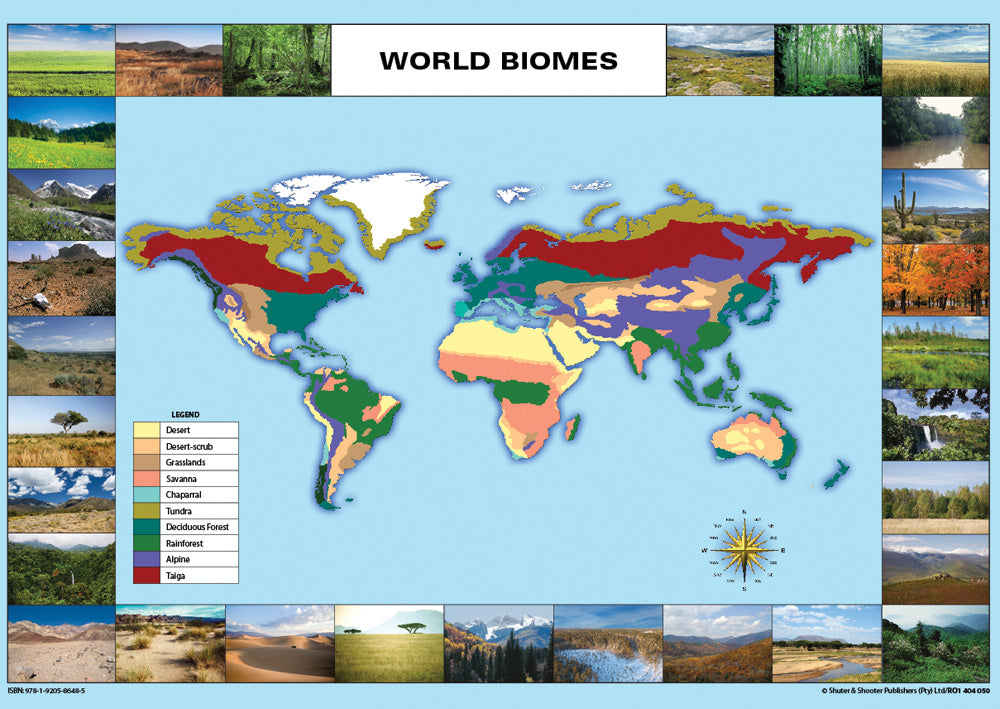 Chart: World Biomes A1