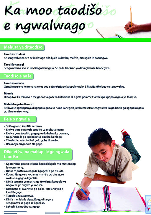 Chart: How To Write An Essay (Sepedi) A2 (Flat)