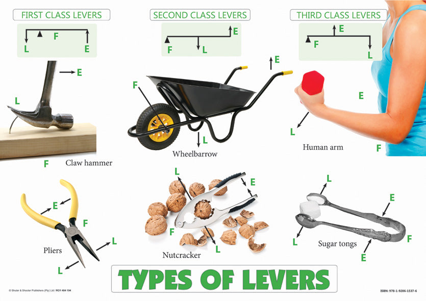 Chart: Types Of Levers A2 (Flat)