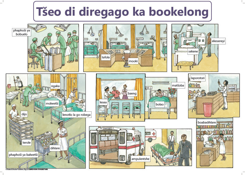 Chart: What Happens In A Hospital Sepedi A2