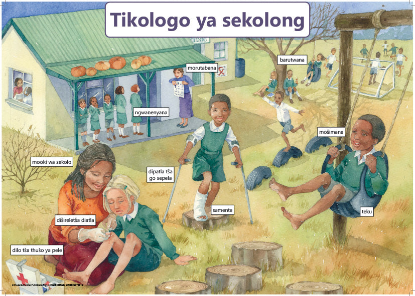 Chart: The School Enviroment Sepedi A2