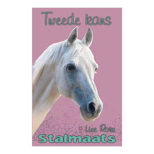 Stalmaats 21: Tweede kans ISBN/SKU: 9780799389432