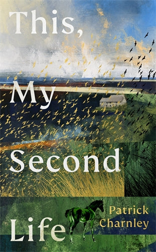 This, My Second Life ISBN/SKU:9781529155259