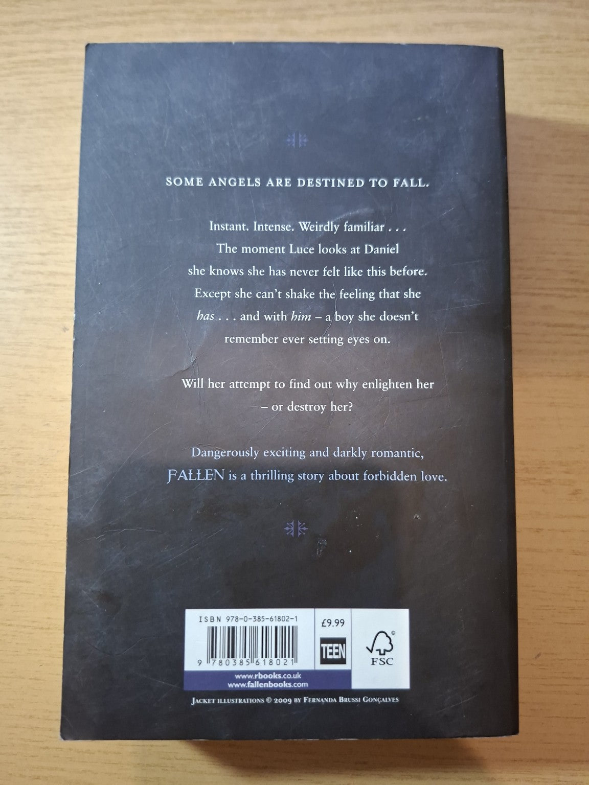 Fallen – Lauren Kate (Second Hand)