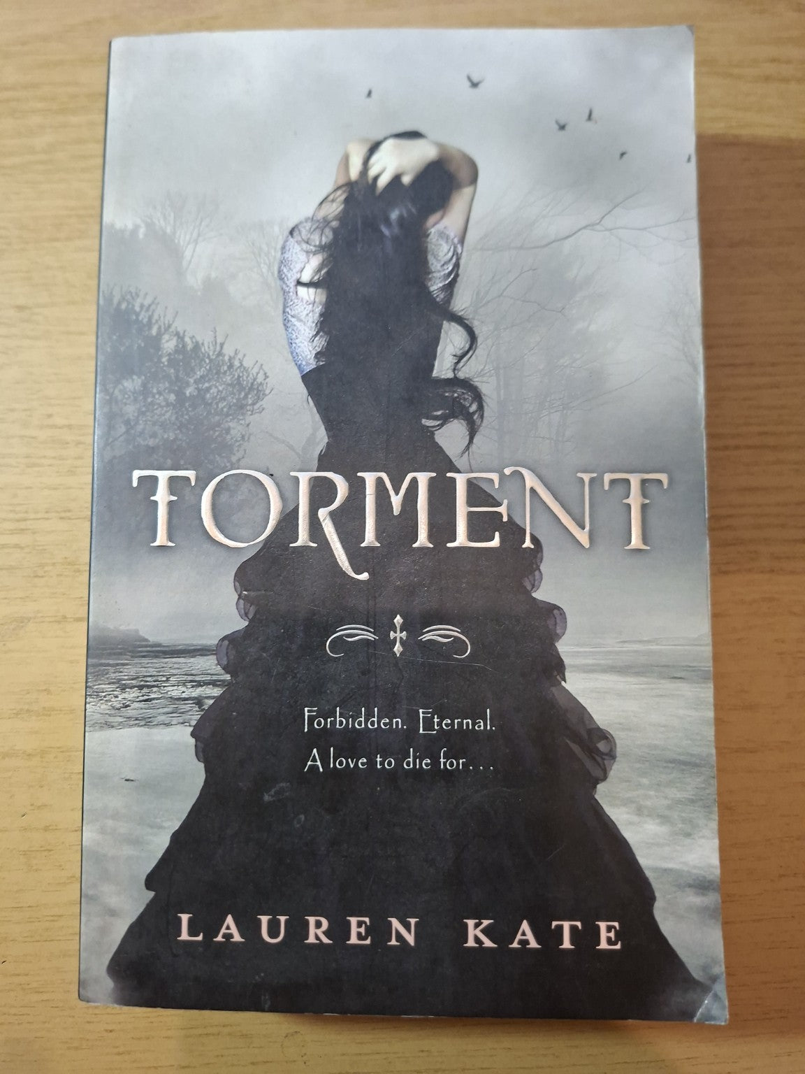 Torment – Lauren Kate (Second Hand)