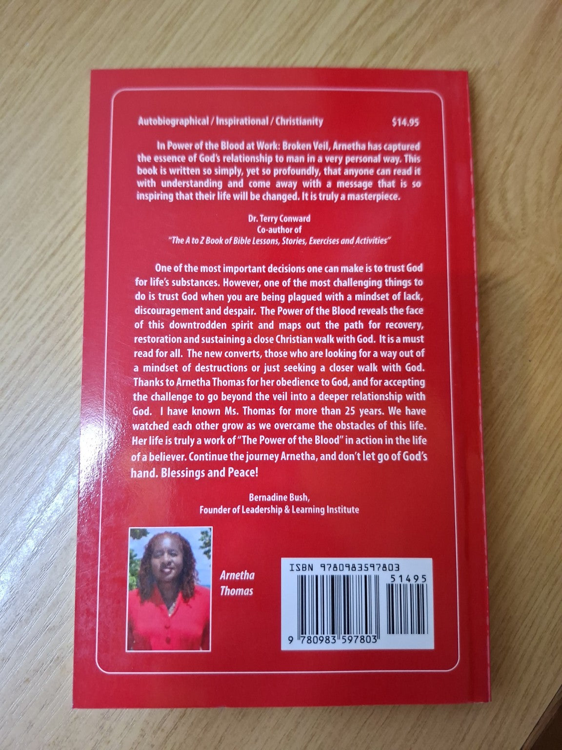 Power of the Blood at Work: Broken Veil (Second Hand)