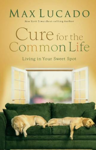 Cure for the Common Life: Living in Your Sweet Spot – Second Hand